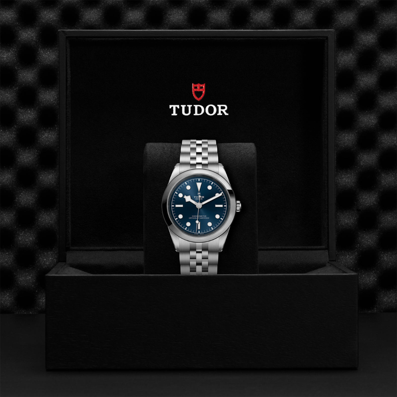 TUDOR | Black Bay 41 | M79680-0002 | Maison Birks